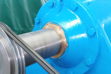 Flange mounted bearing isolator