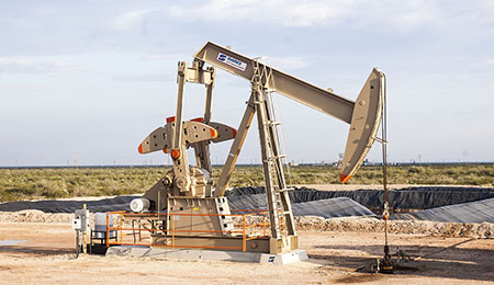 Petrochemical Industry