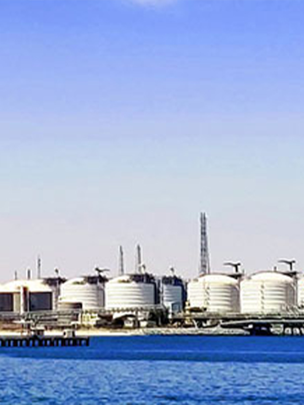 Petrochemical Industry