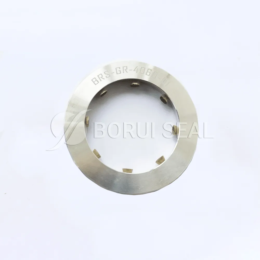NEV Shaft Grounding Ring